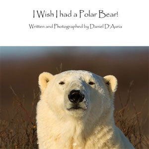 I Wish I Had a Polar Bear by Daniel D'Auria