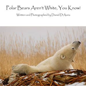 Polar Bears Aren't White You Know by Daniel D'Auria