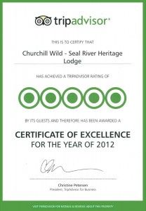 Churchill Wild Trip Advisor Certificate of Excellence 2012