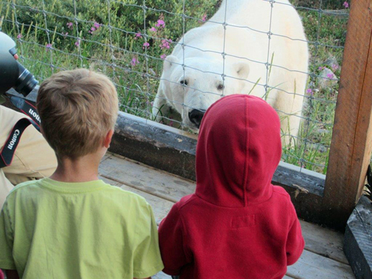 Norquay boys meet polar bear!