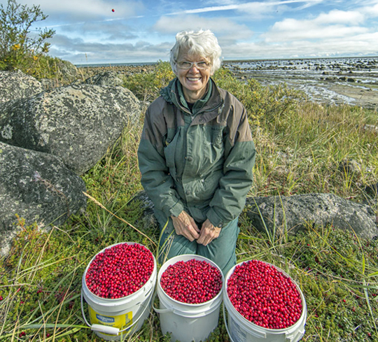 The Cranberry Queen, Helen Webber, on the shores of Hudson Bay at Seal River Heritage Lodge.