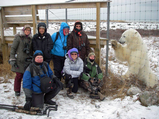 Polar bear says goodbye at Seal River Lodge