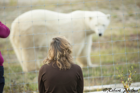 Girl with polar bear at Nanik Polar Bear Lodge.