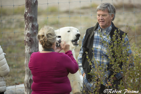 Guest taking photo of guest with polar bear at Nanuk Polar Bear Lodge