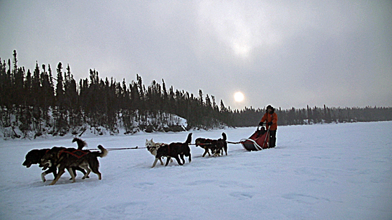 The dogsled team was eager to run! Photo courtesy of Build Films.