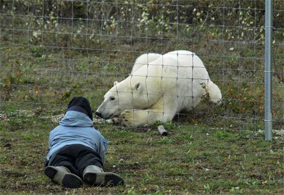 A conversation with a polar bear is not something you forget. Photo courtesy of Doreen Booth.