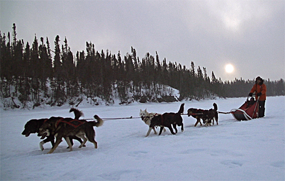 Dogsledding at North Knife Lake Lodge, Lights in the Wild