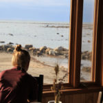 Churchill Wild staff watching a polar bear outside the window. Seal River Heritage Lodge.