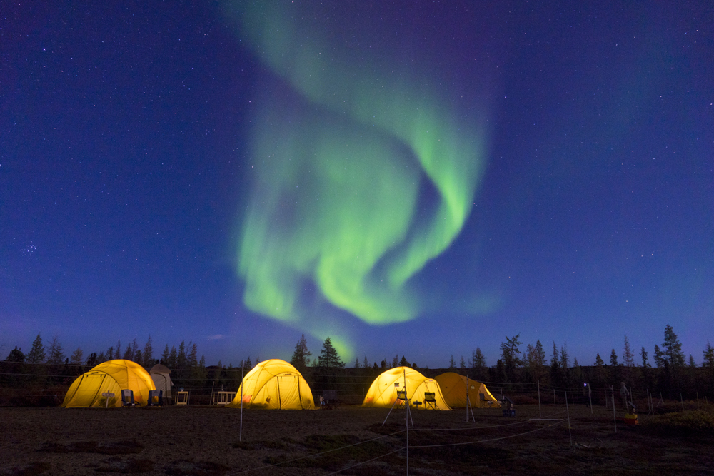 Tundra Tent Camp under northern lights. Jad Davenport photo.