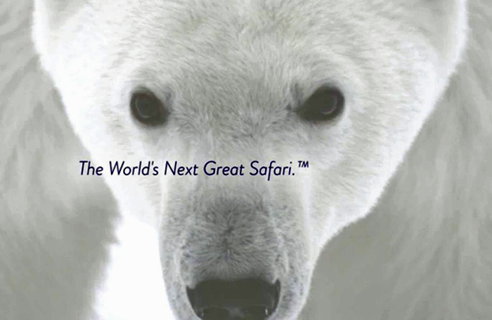 Churchill Wild polar bear videos win Signature Award for Build Films