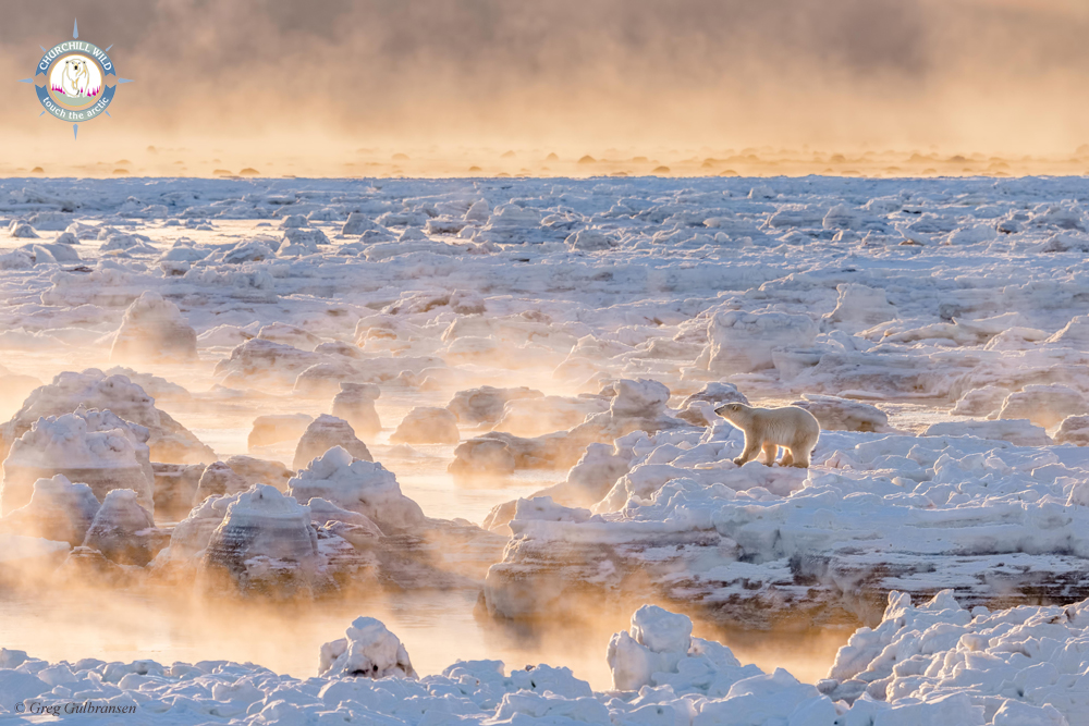 Fire On Ice. Grand Prize winner in The Weather Channel’s 2016 “It’s Amazing Out There” Photo Contest. Greg Gulbransen. Seal River Heritage Lodge.