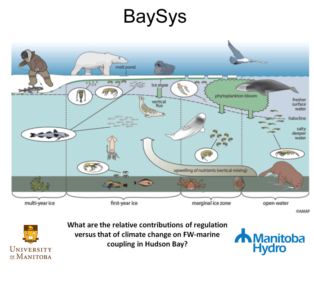 Interactions between the climate, marine and freshwater systems of Hudson Bay.
