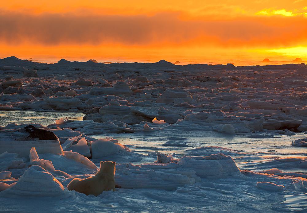Hudson Bay sunset. T. Thompson photo.