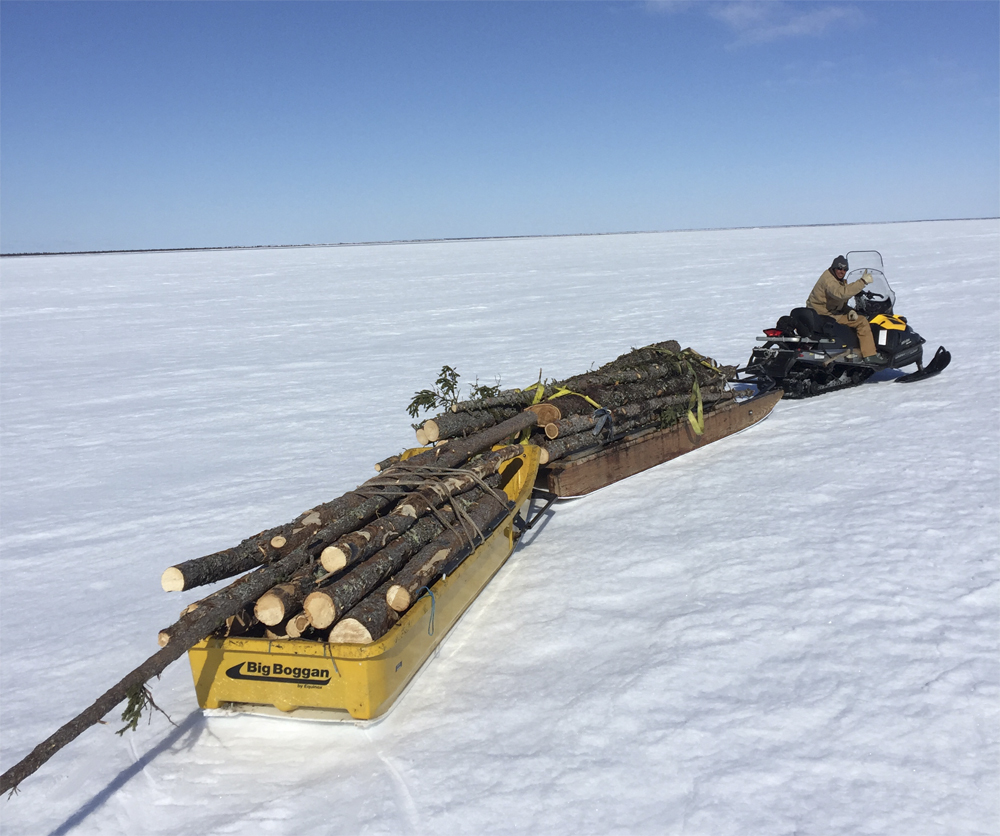 Hauling wood on Hudson Bay. Thumbs up for the boggans!