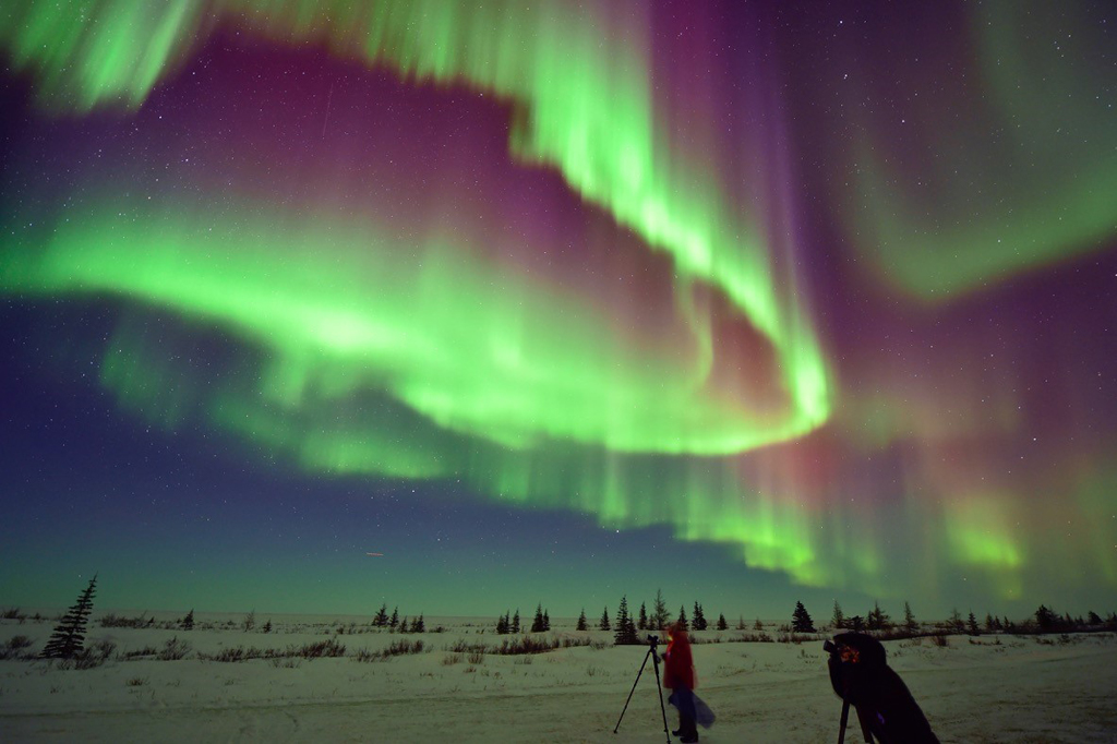 Aurora borealis lights up the snow at Nanuk Polar Bear Lodge.