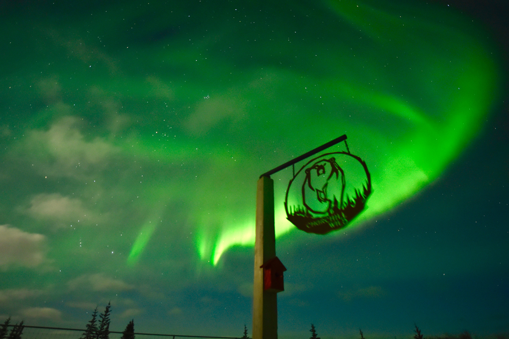 Northern lights over Nanuk Polar Bear Lodge
