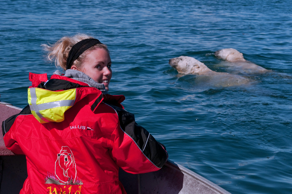 Karli Reimer being escorted across Hudson Bay by two polar bears. Dennis Fast photo. 