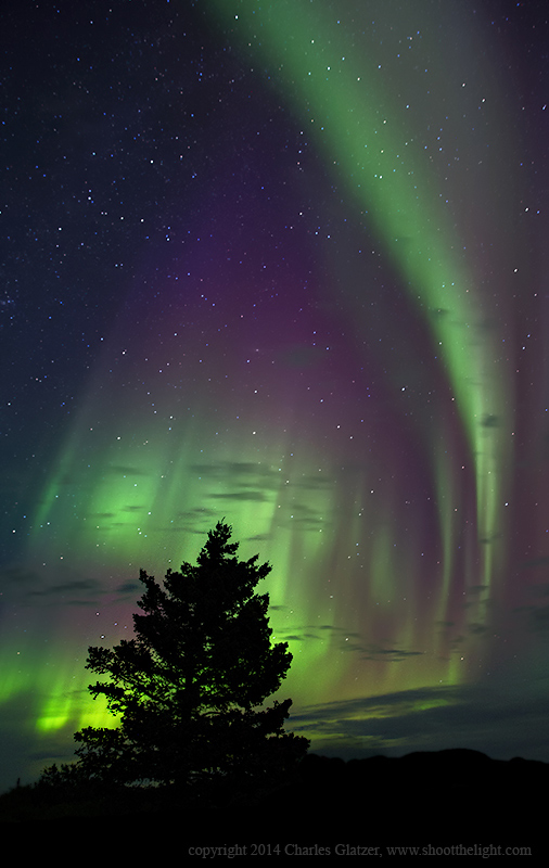 Aurora borealis over Nanuk Polar Bear Lodge. Charles Glatzer photo.