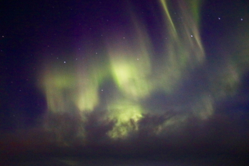 Aurora borealis puts on a show for guests on Birds, Bears and Belugas.