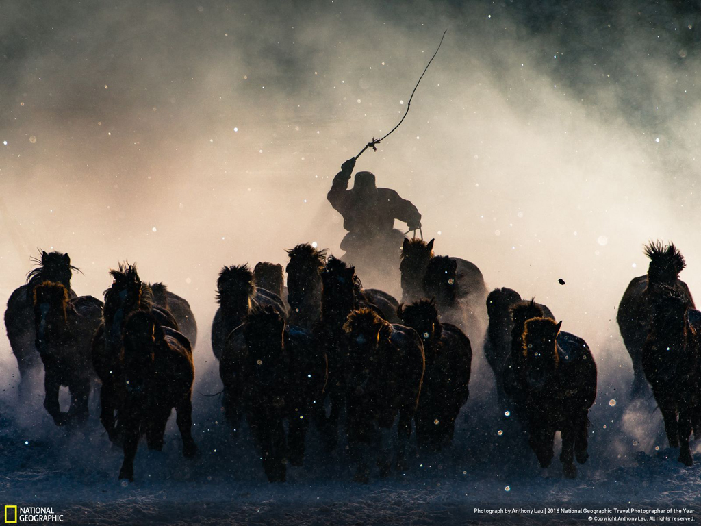 Winter Horseman by Anthony Lau. Grand Prize Winner. 2016 National Geographic Travel Photographer of the Year. Click image for more.