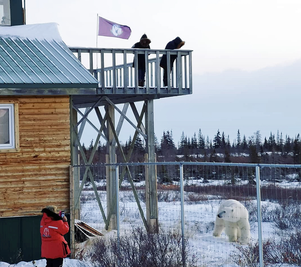 Great Ice Bear Adventure at Dymond Lake Ecolodge draws rave reviews. Scarbrow returns.