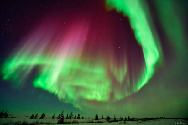 northern-lights-Nanuk-Polar-Bear-Lodge-Churchill-Wild-Ian-Johnson