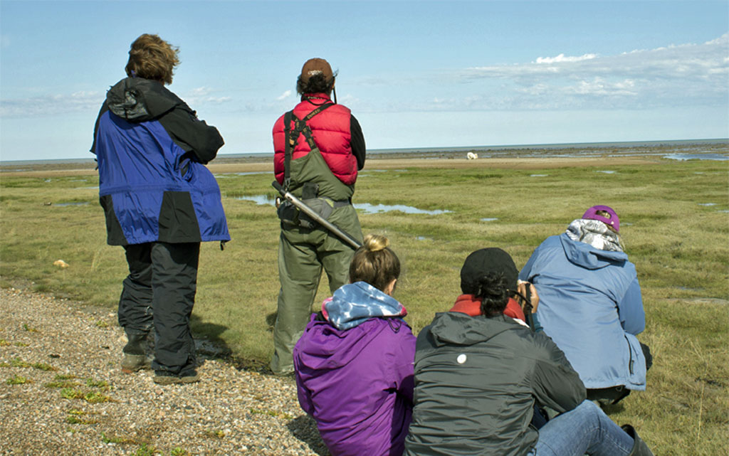 If you can walk on uneven ground, you can walk with polar bears. Robert Postma photo.