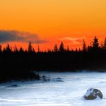 1st Place - Landscapes - Lyndell Daniel - Polar Bear Photo Safari at Nanuk - Churchill Wild 2018 Guest Photo Contest