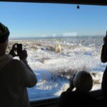 Polar bears sparring outside the windows at Seal River Heritage Lodge.