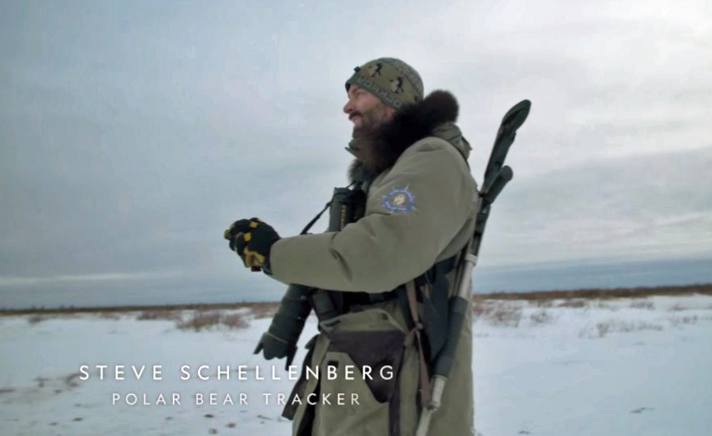 Steve Schellenberg. Polar Bear Tracker. NatGeo/Churchill Wild. Click image for video.
