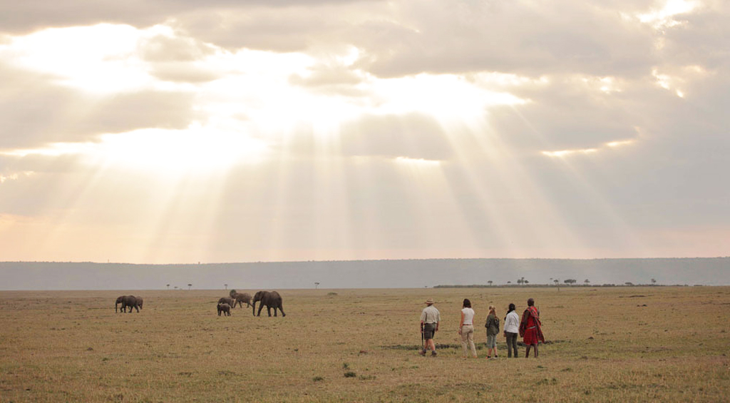Walking safari at Elephant Pepper Camp in Kenya