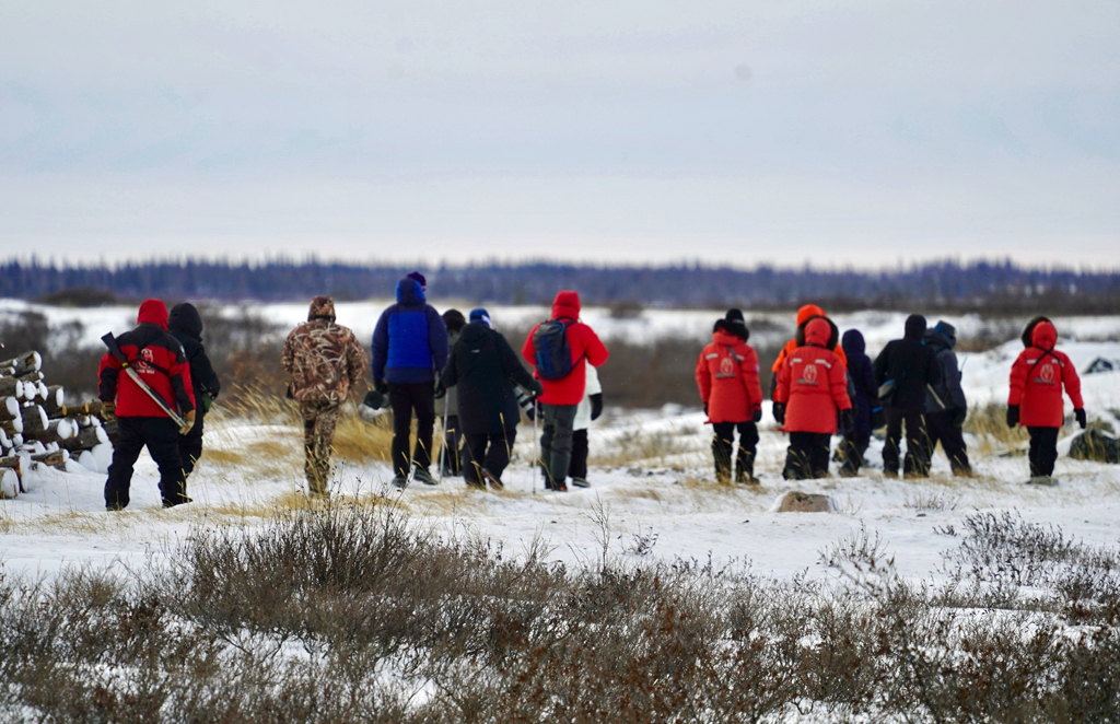 Guests walking out to see polar bears at ground level. Seal River Heritage Lodge. Denae D' Arcy photo. 