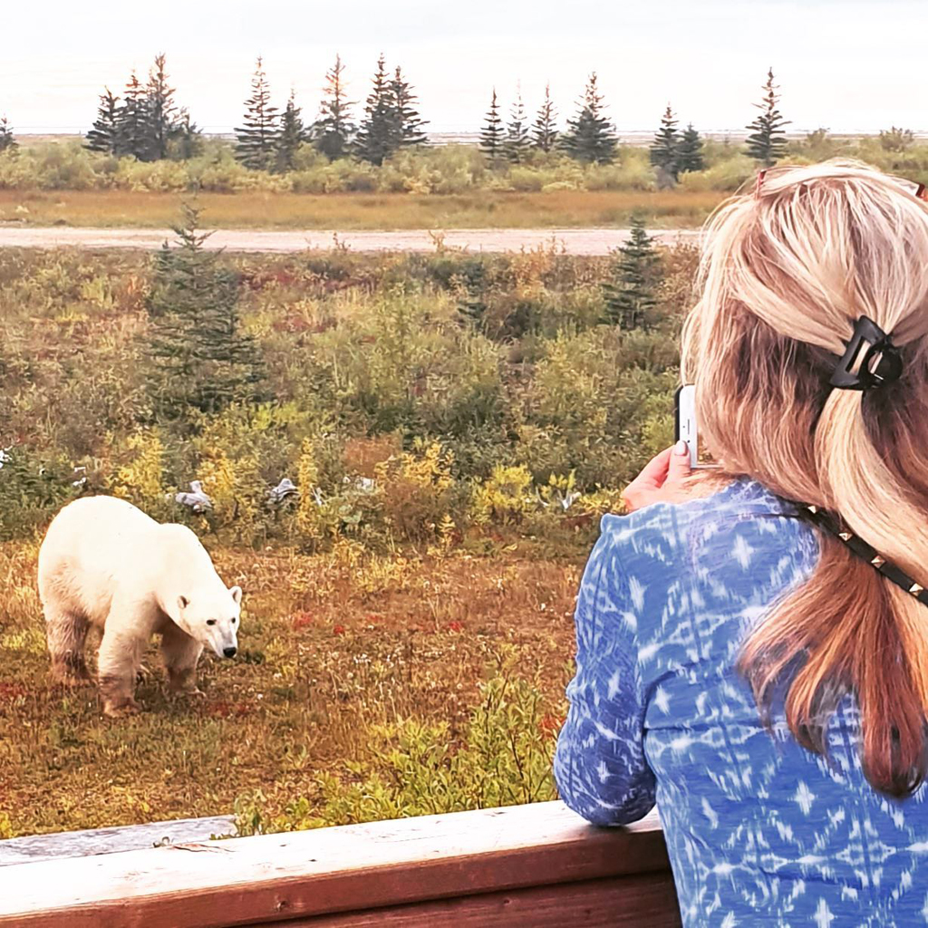 Napa Food Gal Travels to Polar Bear Country and loves it