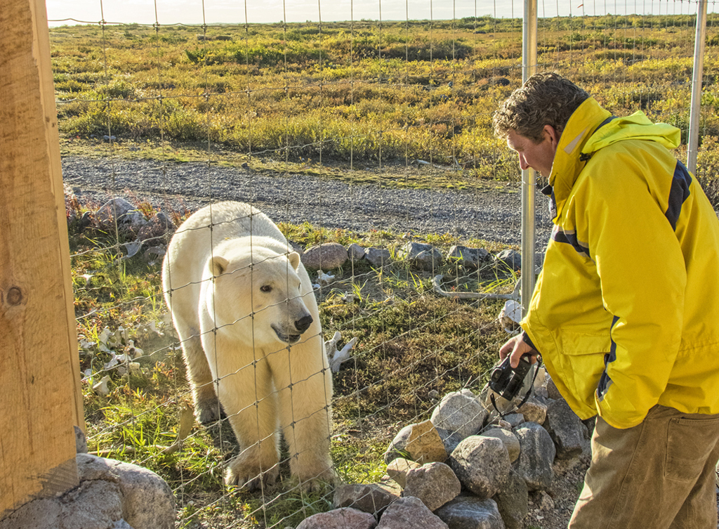 The ability to get along with polar bears is an asset.