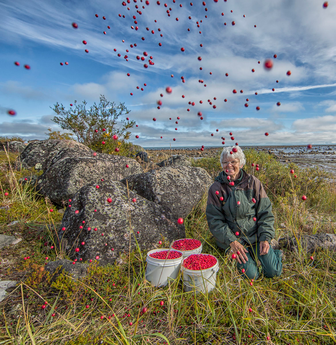 Helen Webber after a successful day of cranberry picking at Seal River Heritage Lodge. Robert Postma photo.