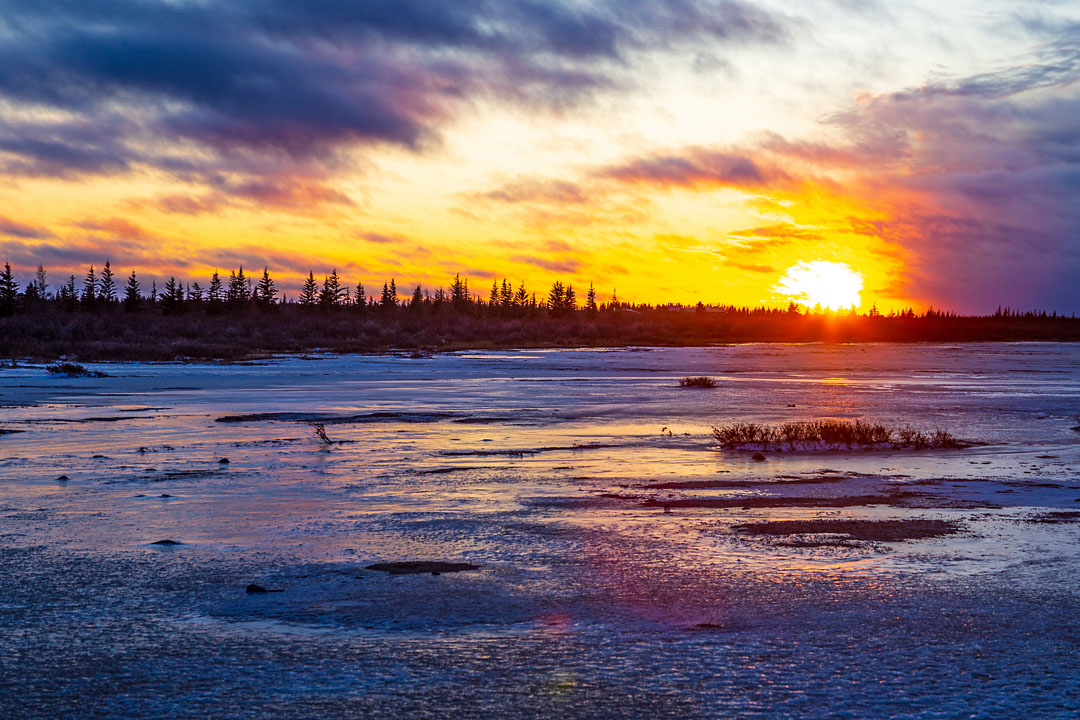 14th Annual Churchill Wild Photo Contest open for entries