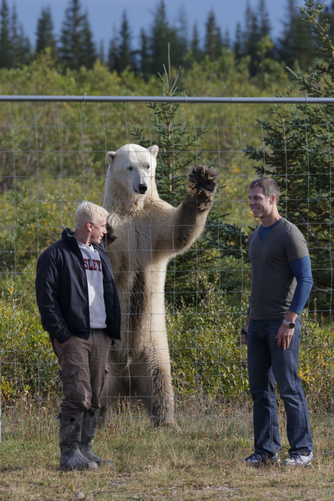 High Five! Nanuk Polar Bear Lodge. Charles Glatzer photo.