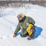 Moose mitts and polar bear tracks. Albert Saunders. Nanuk Polar Bear Lodge. Jad Davenport photo.