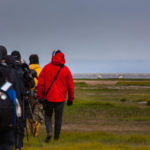 Walking single file towards polar bears at Nanuk Polar Bear Lodge. ThePlanetD photo.