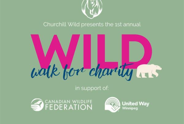 Churchill Wild. A Wild Walk for Charity 2020.