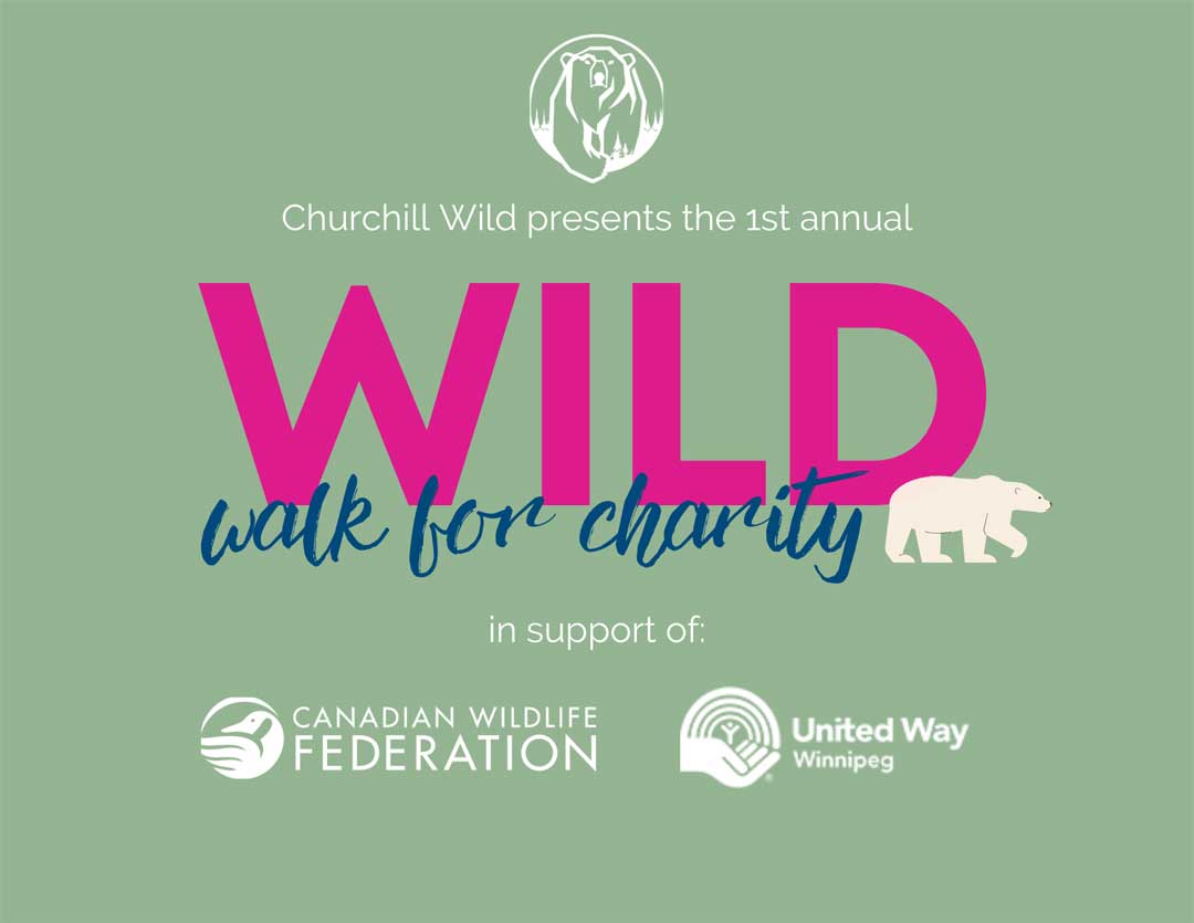 A Wild Walk for Charity!
