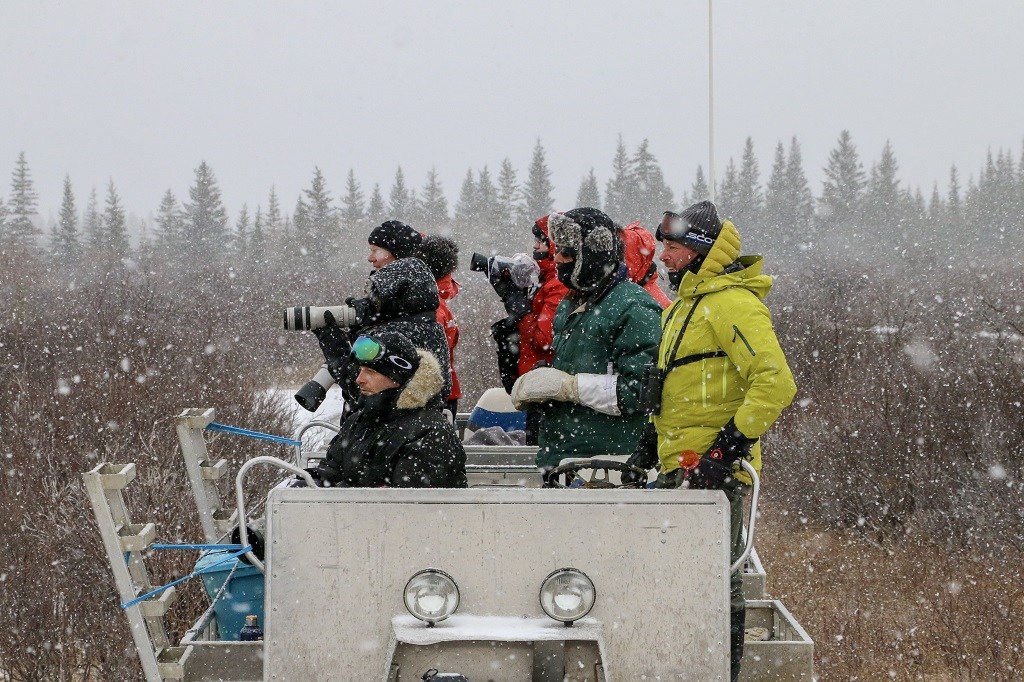 Snowy polar bear watchers. Nanuk Polar Bear Lodge. Karl Biesemier photo.