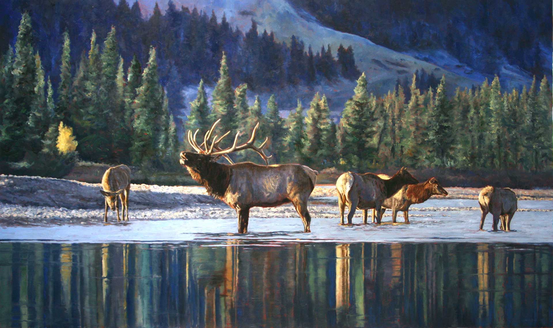 Call of the Wild. Original oil painting by Linda Besse that resulted in her being named the 2017 Rocky Mountain Elk Foundation Artist of the Year. 