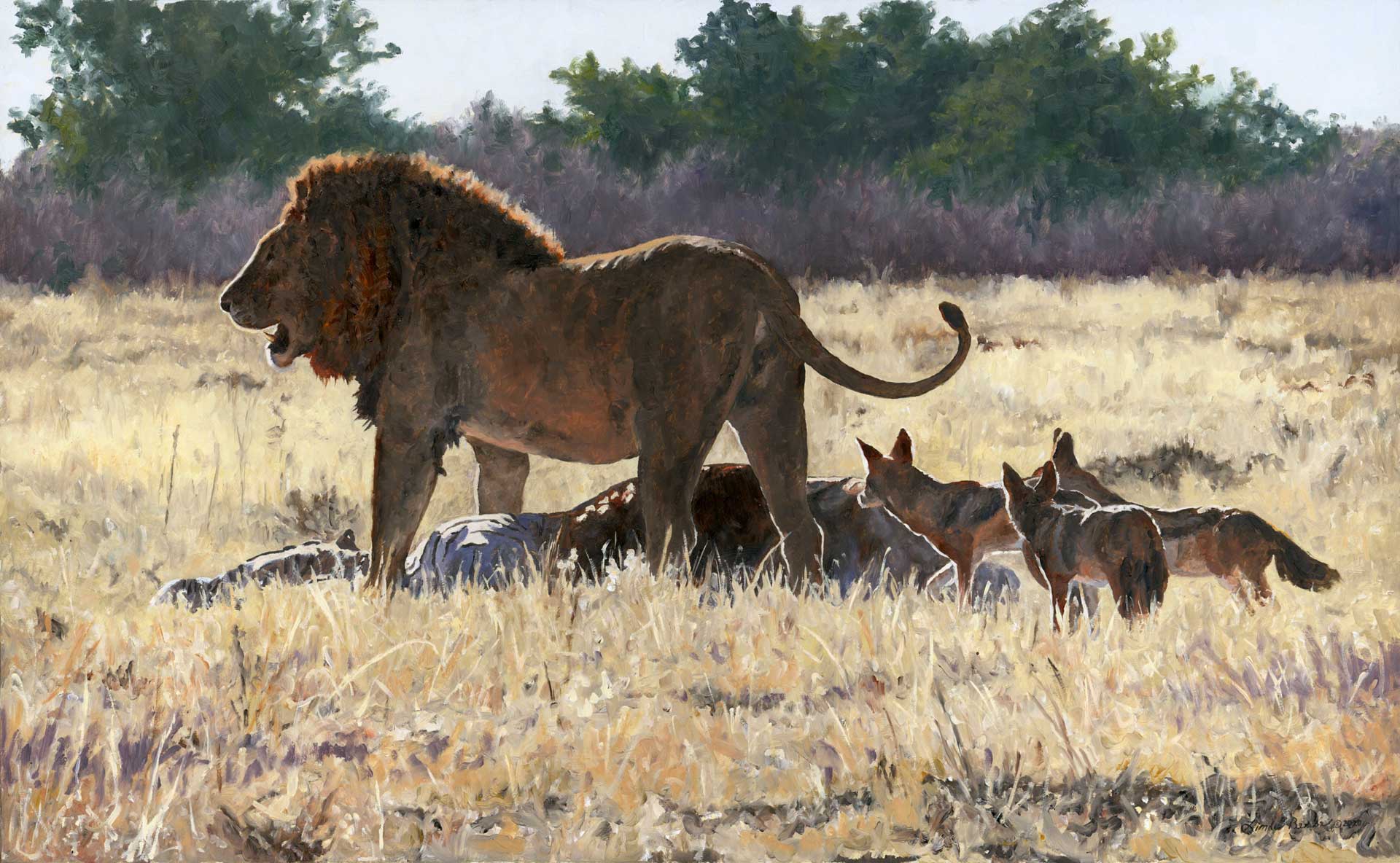Feast. Original oil painting by Linda Besse. When the King of the Beasts feeds, it is a feast for many. 