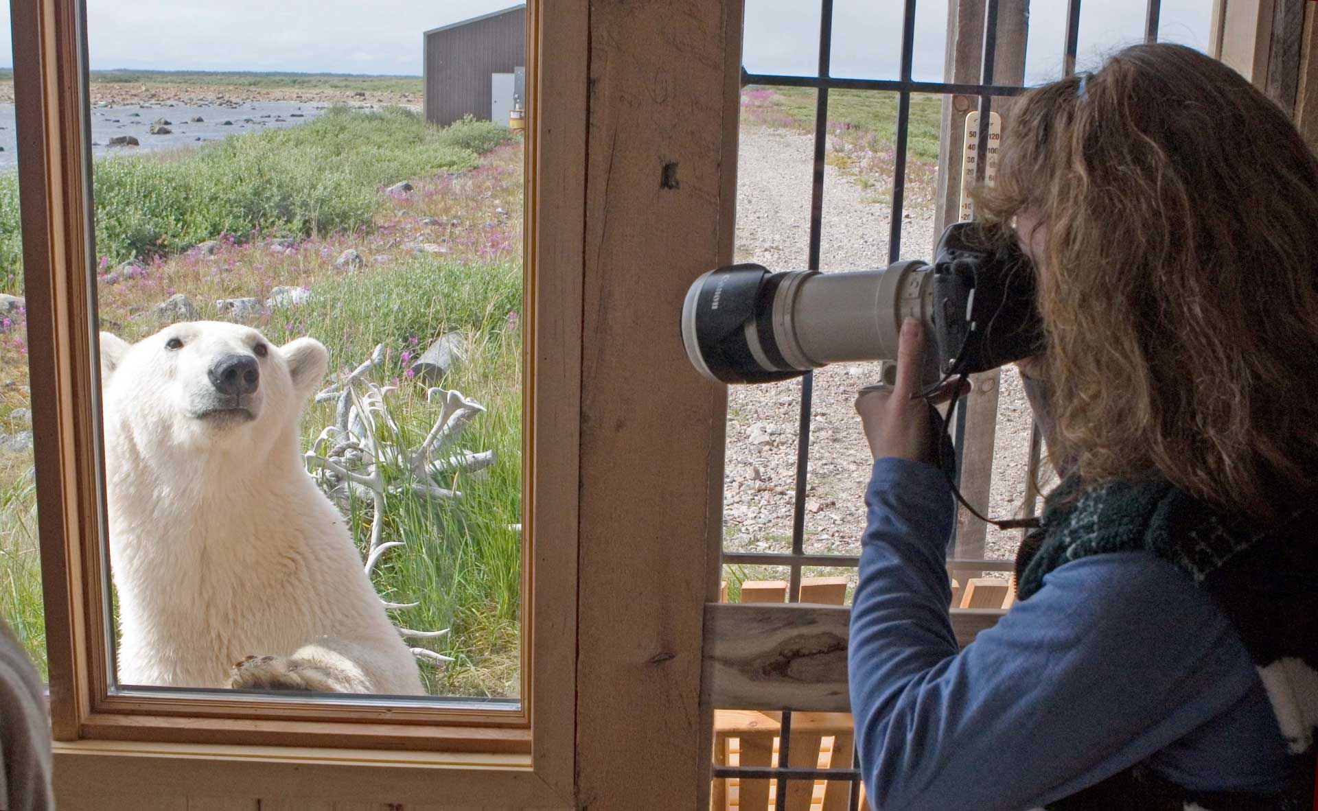 Linda photographing a bear at the door. Seal River Heritage Lodge.