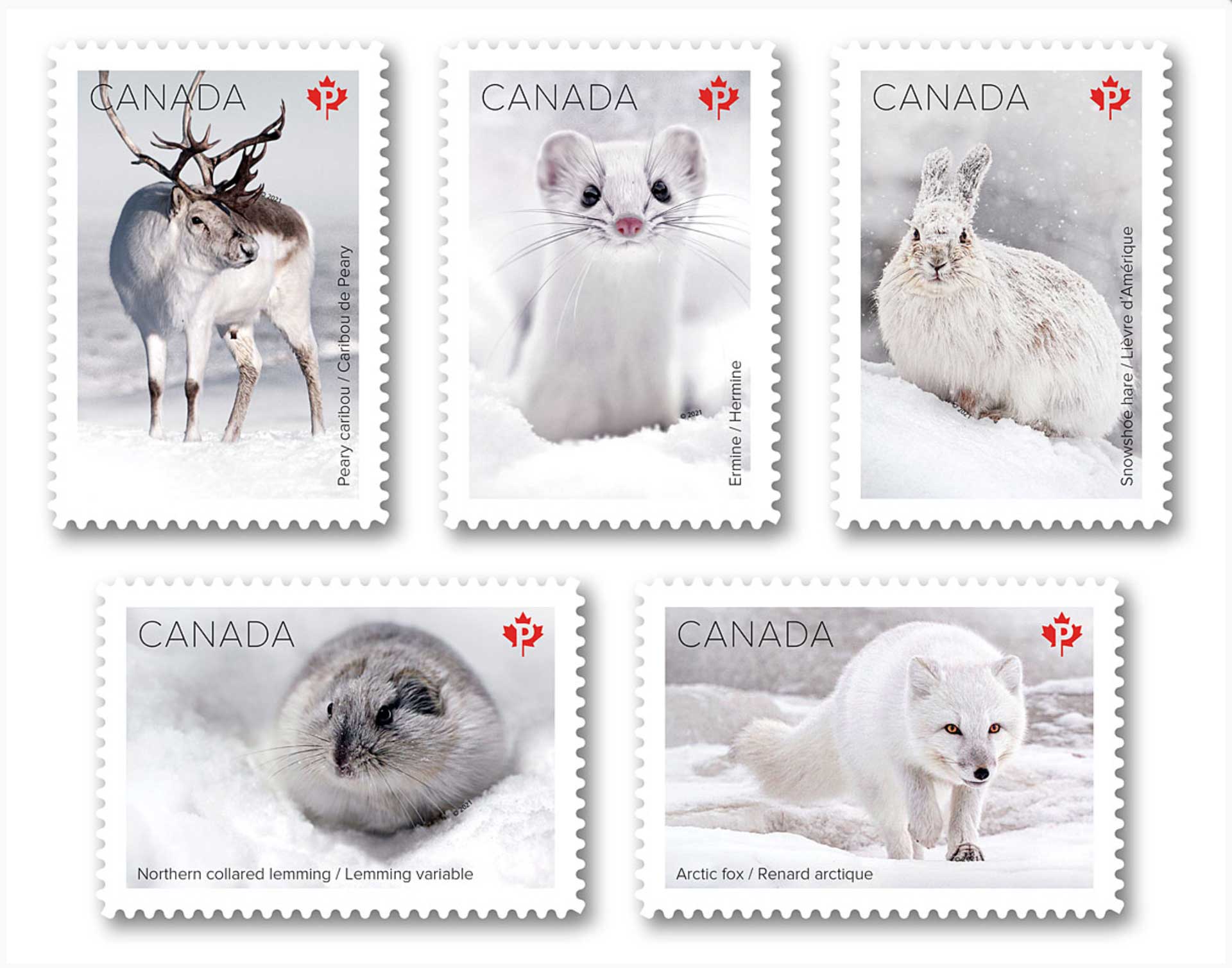 New Canada Post Snow Mammals Collection