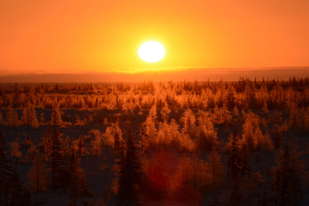 Sunset of the boreal forest. Laurie McLeish photo.