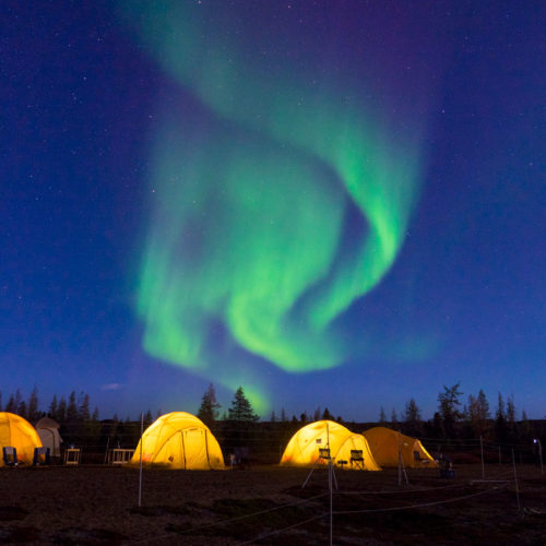Northern lights. Tundra Camp. Arctic Safari. Jad Davenport photo.