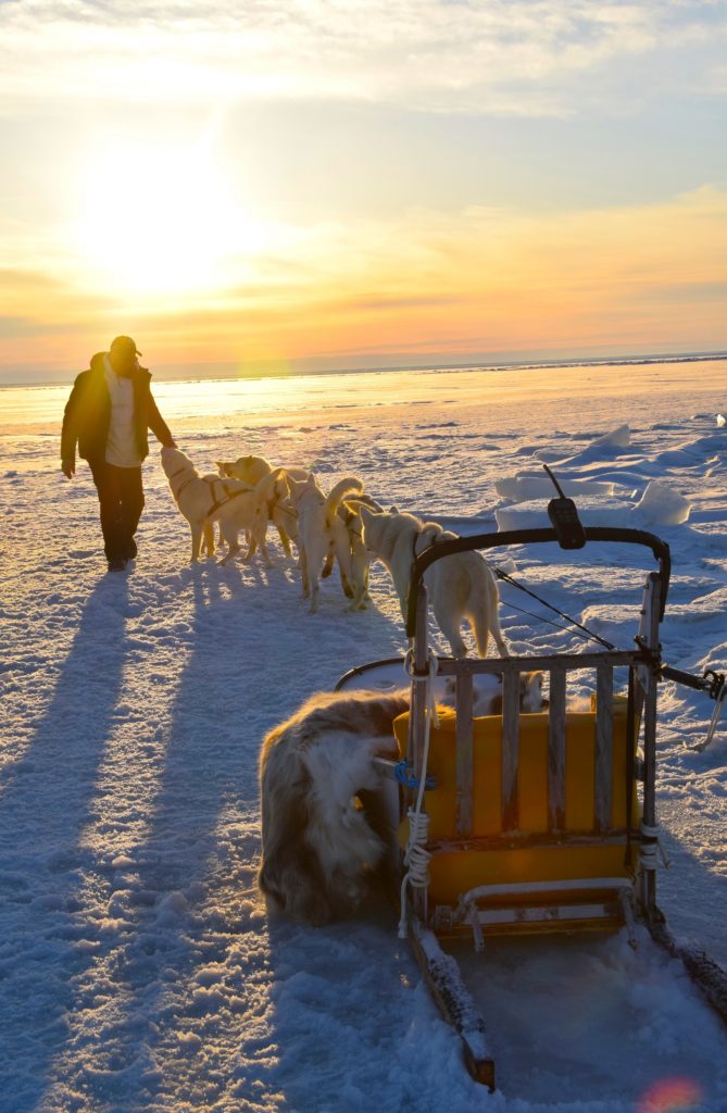 Dogsled team at Seal River Heritage Lodge