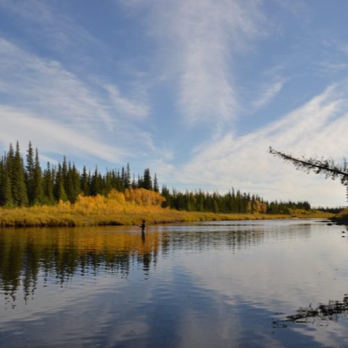 Fly fishing in the Canadian wilderness. Nanuk Polar Bear Lodge.